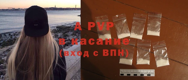 spice Бородино