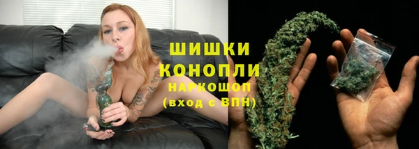 spice Бородино