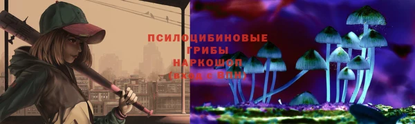 spice Бородино