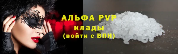 spice Бородино