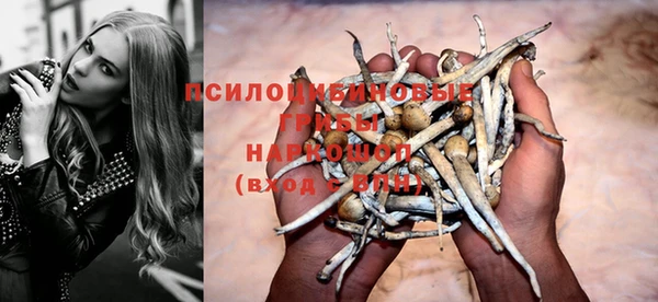 mdpv Бугульма