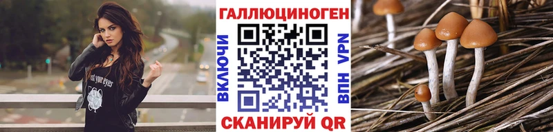 kraken tor  наркота  Сыктывкар  Галлюциногенные грибы Psilocybine cubensis 